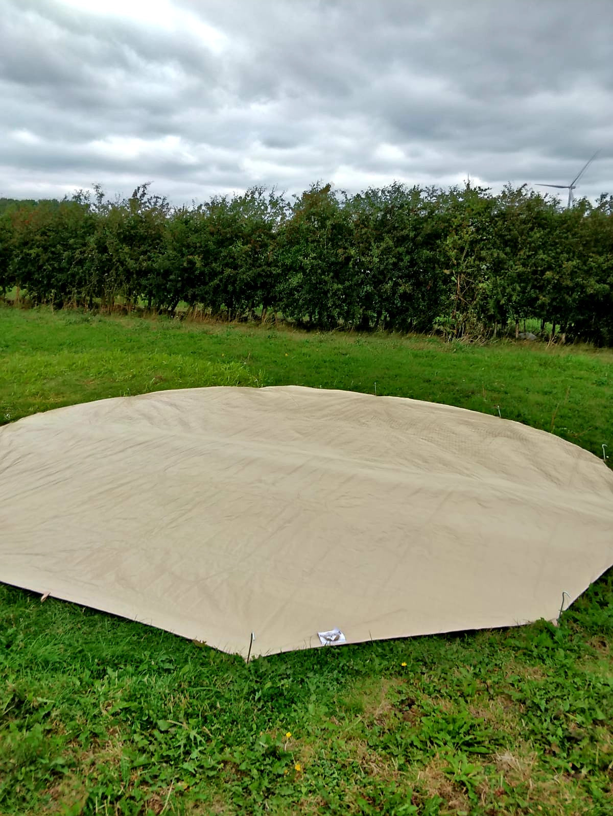 BTV 4 6m Bundle - XL Tent + Footprint Protector & SoftCut Carpet