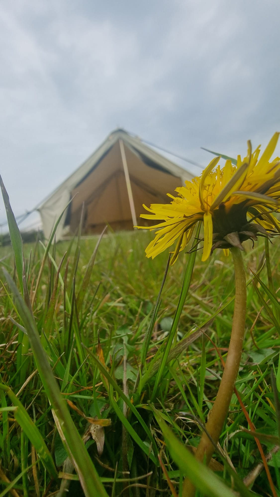 Bell Tent Canopy Awning and Porch Attachment With Sewn In Groundsheet's